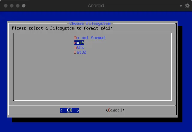 格式选 ext4，回车